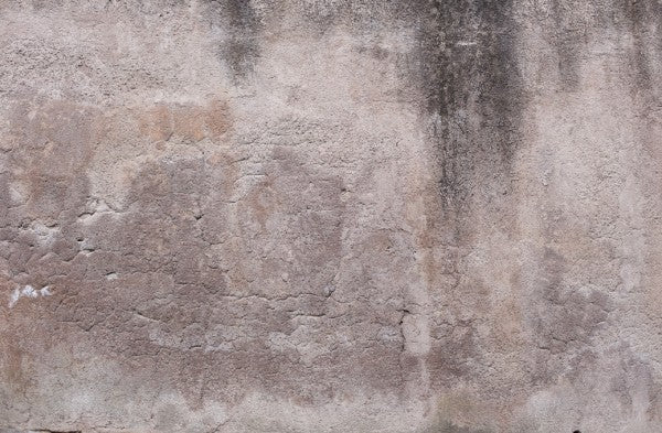 PHOTOWALL / Rose Brown Concrete Wall (e313630)
