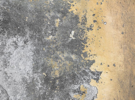 PHOTOWALL / Grunge and Peeling Wall (e313676)