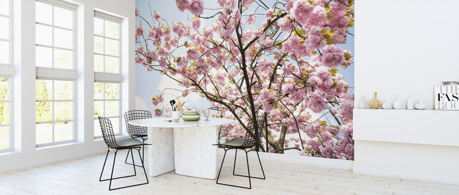 PHOTOWALL / Cherry Blossoms (e313447)
