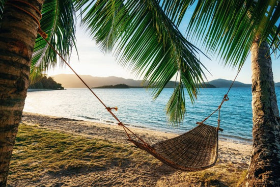 PHOTOWALL / Empty Hammock between Palm Trees (e313875)