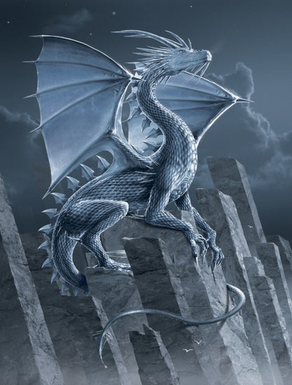 PHOTOWALL / Silver Dragon (e313855)