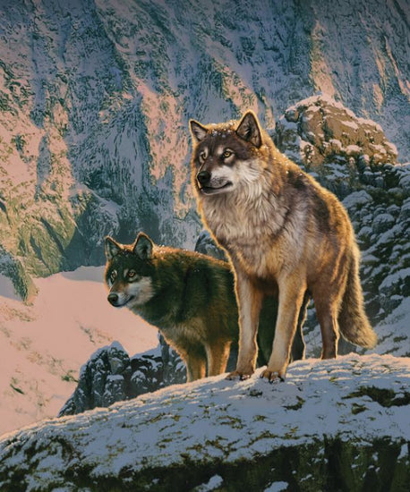 PHOTOWALL / Wolf Couple in Sunset (e313869)
