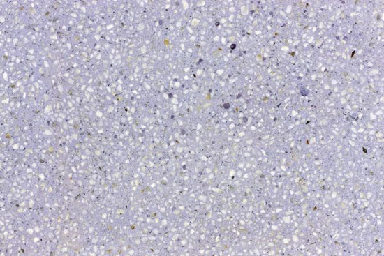 PHOTOWALL / Lavender Terrazzo (e314468)