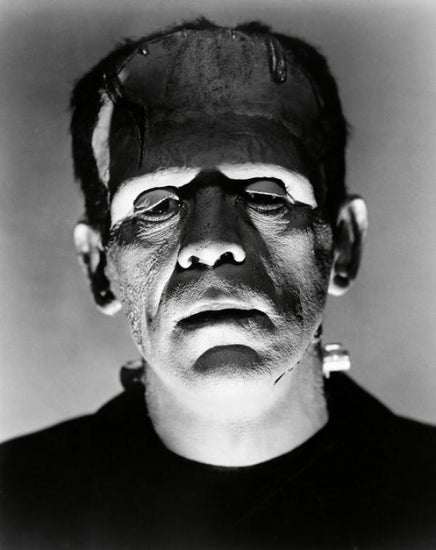 PHOTOWALL / Boris Karloff in the Bride of Frankenstein (e314893)