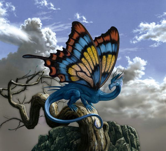 PHOTOWALL / Drakerfly (e315469)