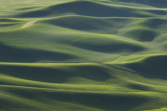 PHOTOWALL / The Earth's Fine Skin (e315353)