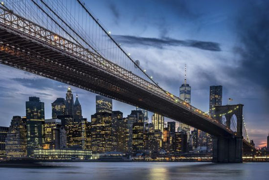 PHOTOWALL / Manhattan from Dumbo (e315399)