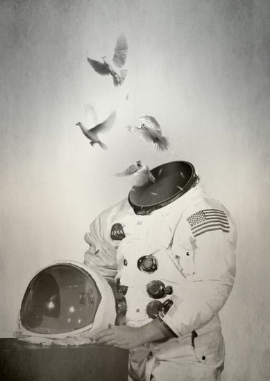 PHOTOWALL / Doves (e315687)