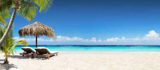 PHOTOWALL / Coral Beach (e315815)