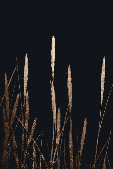 PHOTOWALL / Golden Fields in the Dark (e315991)