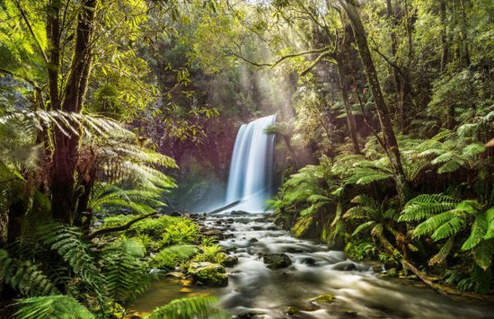 PHOTOWALL / Hopetoun Falls (e316132)