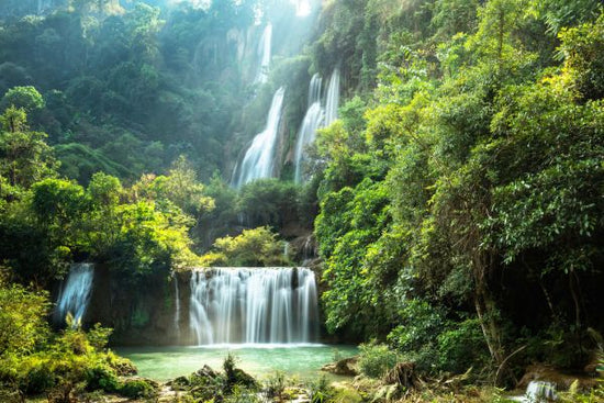 PHOTOWALL / Waterfall in Summer (e316154)