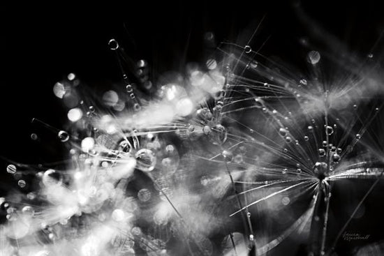 PHOTOWALL / Dandelion Abstract (e316194)