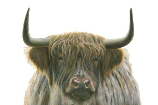 PHOTOWALL / Highlander (e316451)