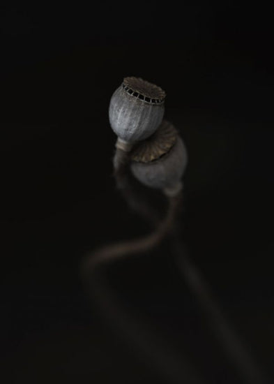 PHOTOWALL / Twogether (e316889)