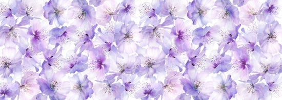 PHOTOWALL / Sakura Flow (e317168)