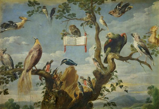 PHOTOWALL / Concert of the Birds - Frans Snyders (e317021)