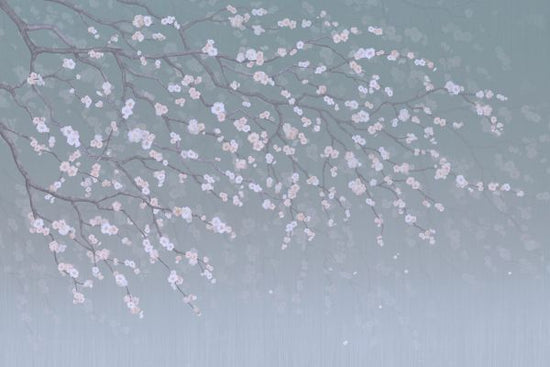 PHOTOWALL / Sakura (e317753)