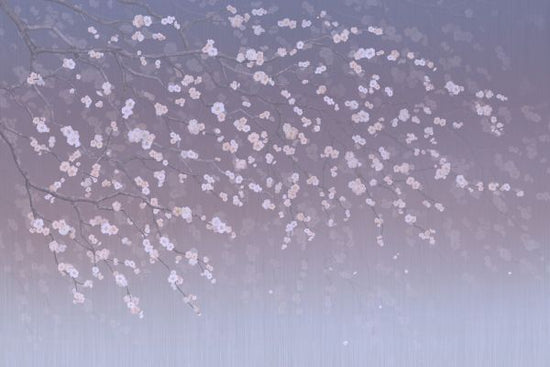 PHOTOWALL / Sakura - Purplish (e317755)