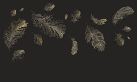 PHOTOWALL / Flying Feathers - Brown (e318451)