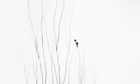 PHOTOWALL / Winter Moment (e317822)