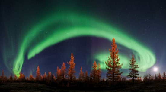 PHOTOWALL / Northern Lights (e317627)