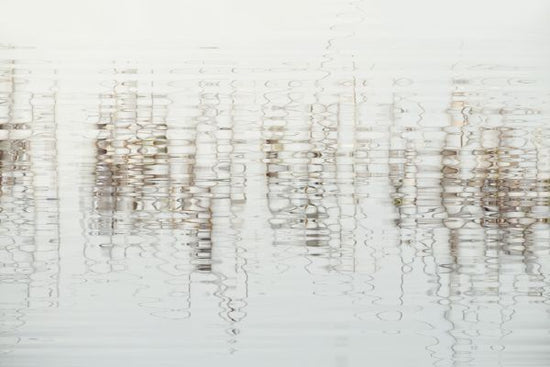PHOTOWALL / Water Light and Reed (e318493)