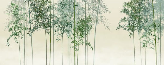 PHOTOWALL / Bamboo Trees View - Green (e318691)