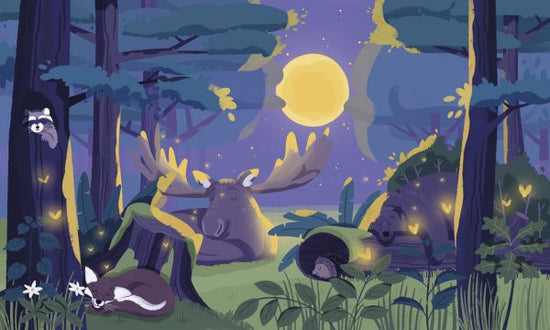 PHOTOWALL / Sleepy Forest (e319260)