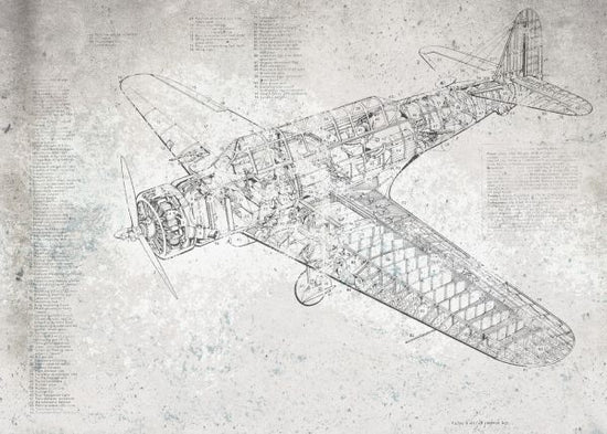 PHOTOWALL / Retro Airplane (e319213)