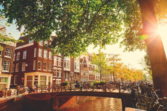 PHOTOWALL / Bridge in Amsterdam (e318110)