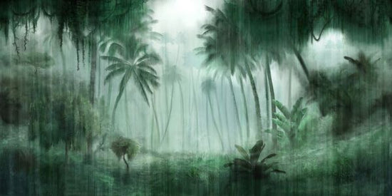 PHOTOWALL / Definitive Tropical (e319920)