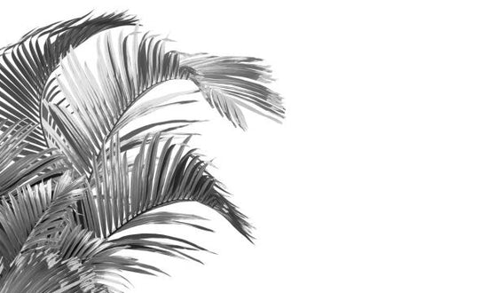PHOTOWALL / Piece of Paradise - Bw (e319932)