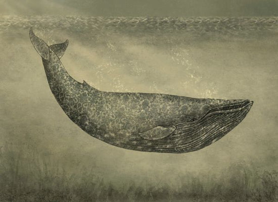 PHOTOWALL / Damask Whale (e320016)
