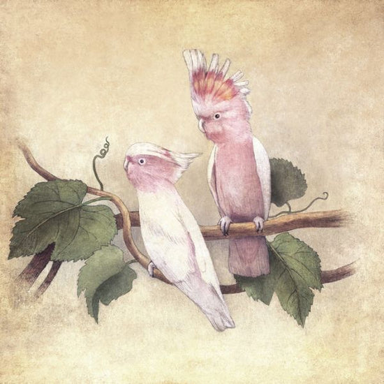 PHOTOWALL / Pink Cockatoos (e320043)