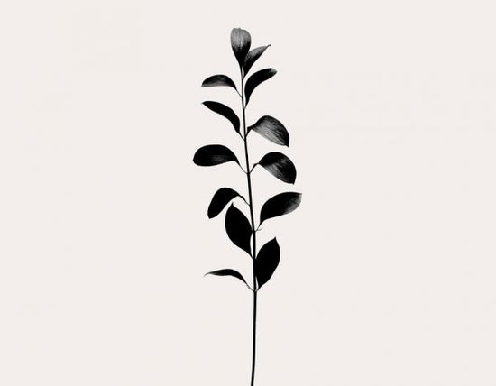 PHOTOWALL / Monochromatica - Dark Black (e319450)