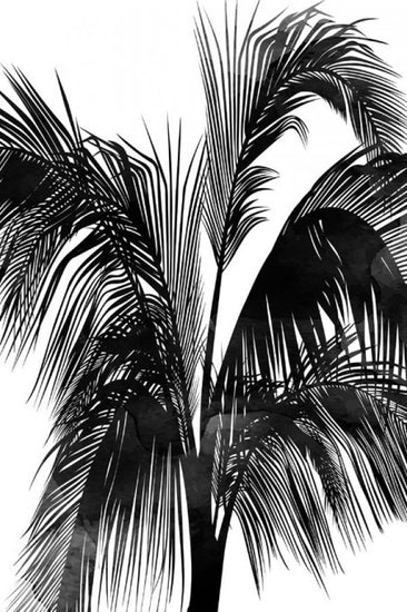 PHOTOWALL / Sunset Boulevard (e319421)