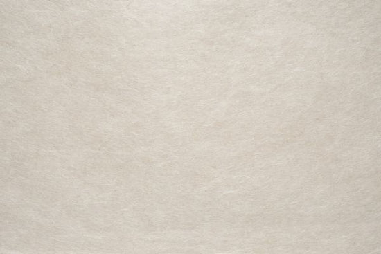 PHOTOWALL / Washi Paper (e318163)