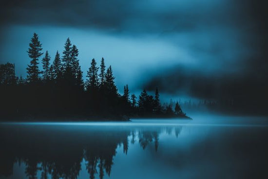 PHOTOWALL / Misty Evening (e318378)
