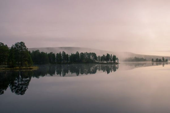 PHOTOWALL / Lake and Forest at Dawn (e318405)