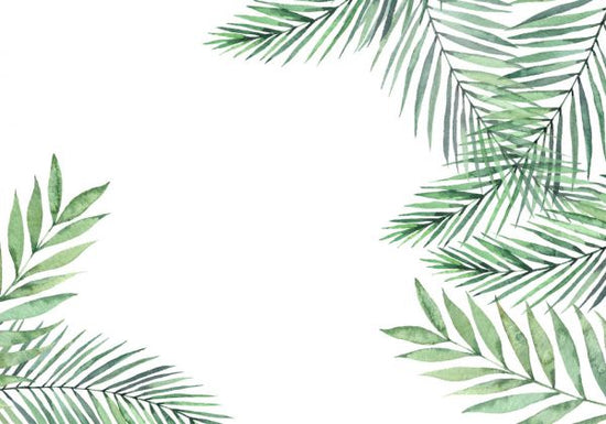PHOTOWALL / Palm Leaves and Branches (e318510)