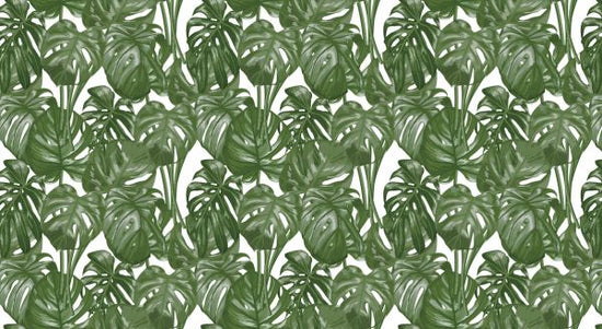 PHOTOWALL / Tropical Leaf Palm (e318522)