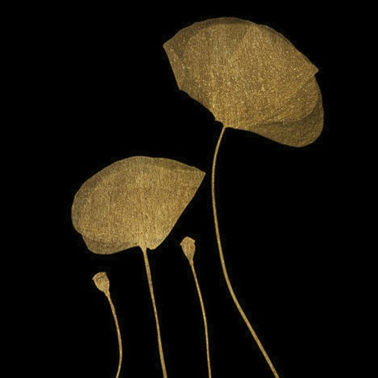 PHOTOWALL / Moonshine Dancers (e320686)