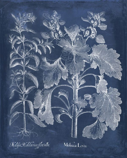 PHOTOWALL / Besler Leaves in Indigo (e320425)