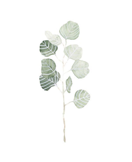 PHOTOWALL / Soft Eucalyptus Branch (e320504)