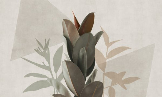 PHOTOWALL / Ficus Elastica IIII (e321284)