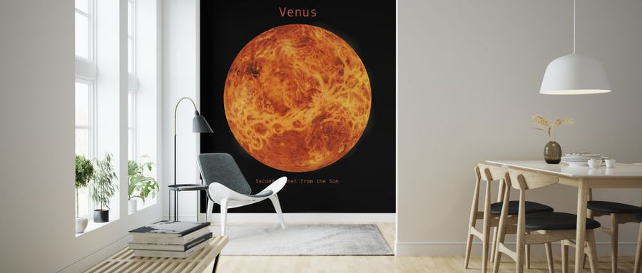 PHOTOWALL / Solar System - Venus (e320059)