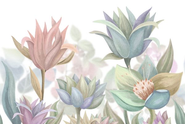 ワルパ 専用 PHOTOWALL / Here be Dragons (e329657) | 輸入壁紙専門店 WALPA