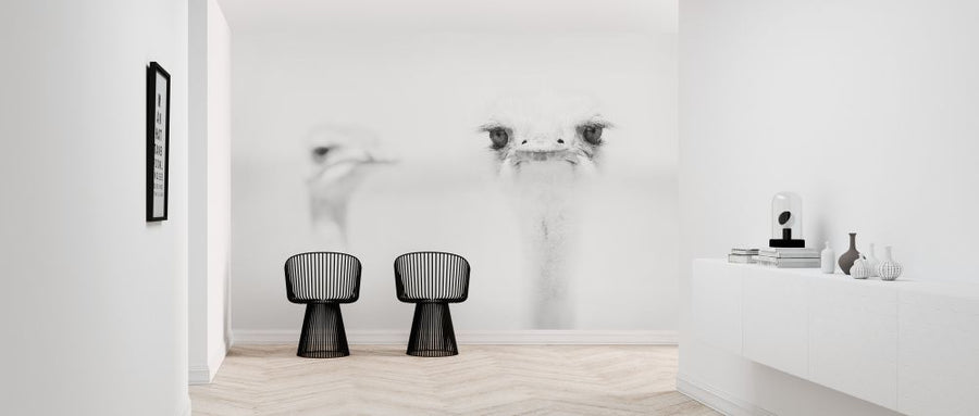 PHOTOWALL / Ostrich Black and White (e320711)