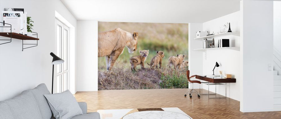 PHOTOWALL / Lion and Cubs (e320721)